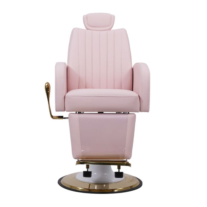 Skinmate Darcy Pink Beauty/Barber Chair