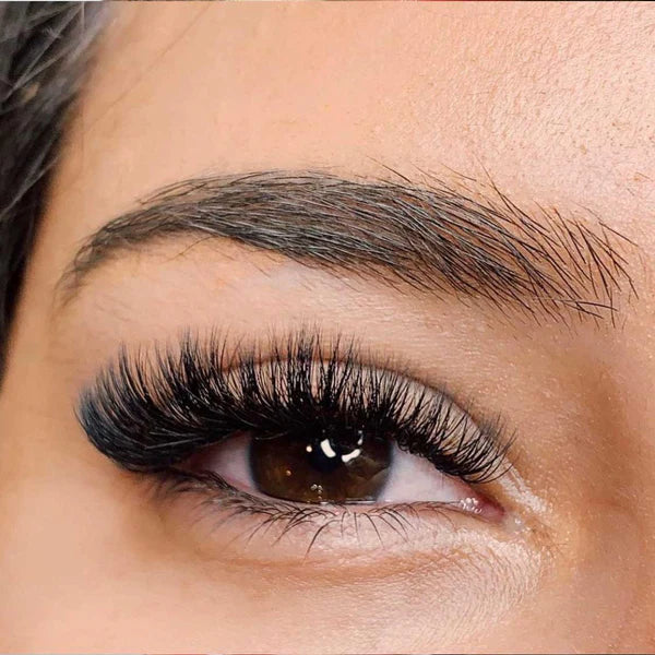 Lash Extension Russian Volume - StatusSalonServices